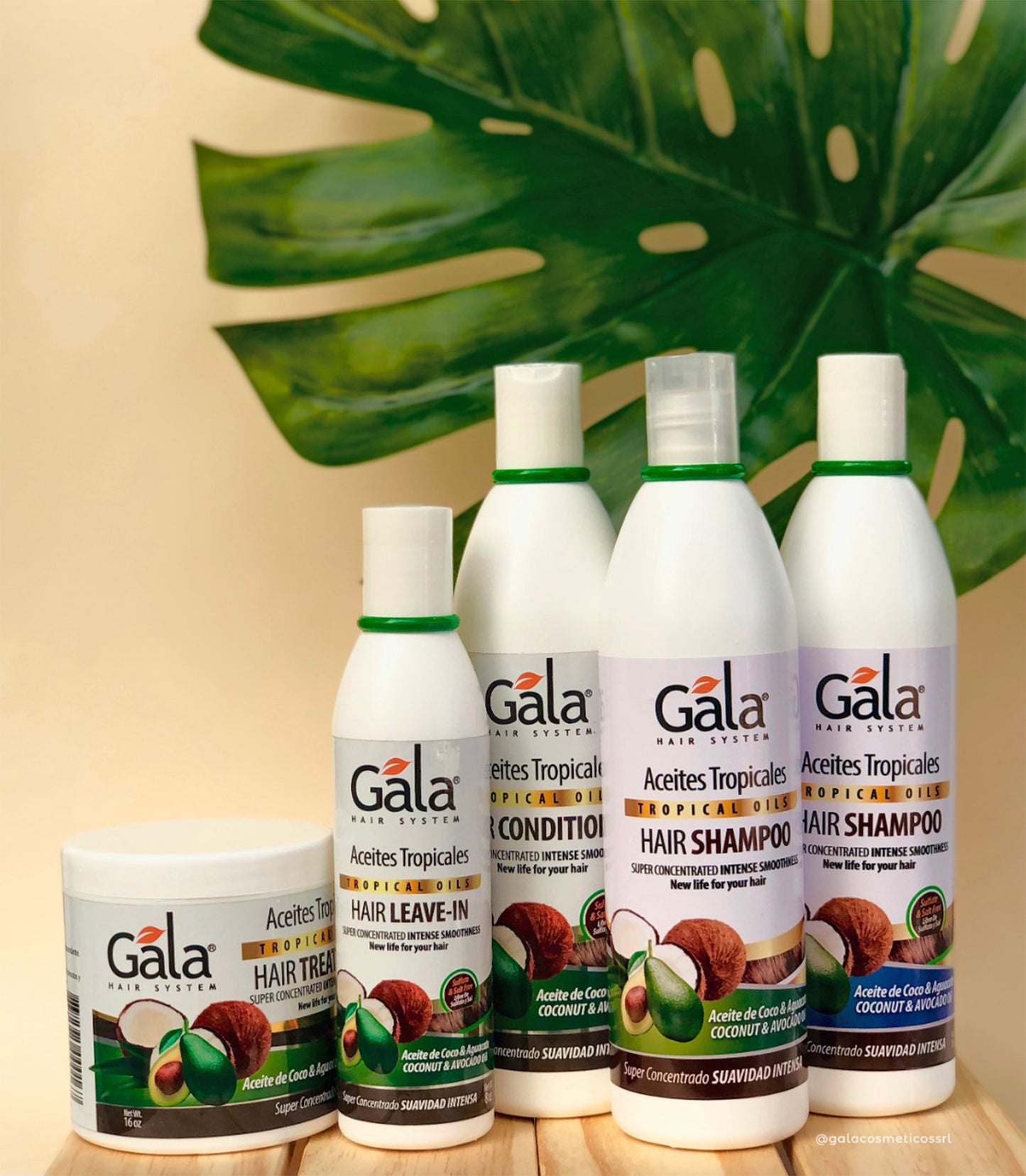 Gala Tropical Oils Kit